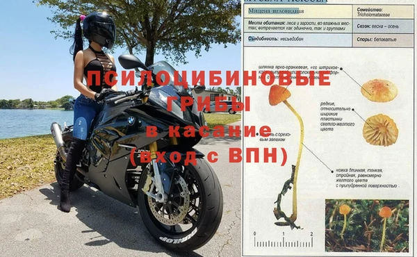МДМА Белокуриха