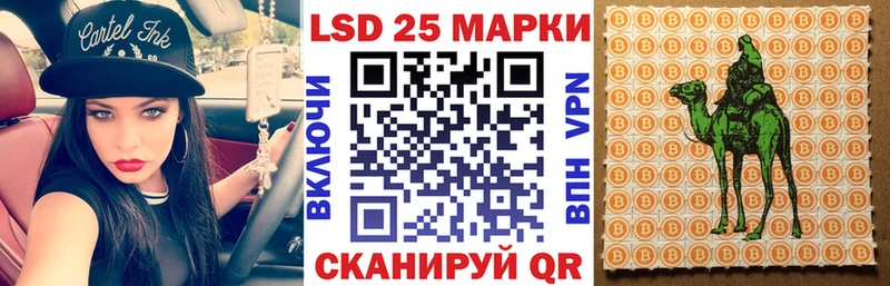 закладки  Выборг  Марки N-bome 1,5мг 