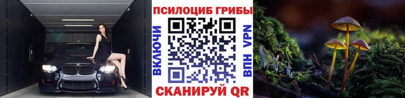 Псилоцибиновые грибы мухоморы  Выборг 